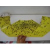 Decorative - Glueboard Flytrap Cento